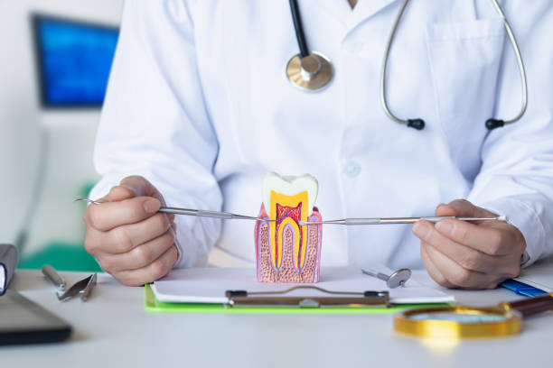 Best Emergency Tooth Extraction in Black Canyon City, AZ